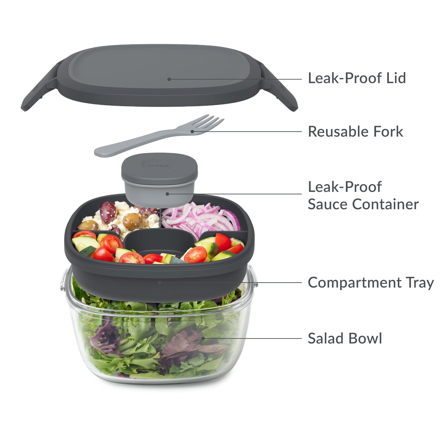 Product gid://shopify/Product/9191842742501 - Variant SKU: 